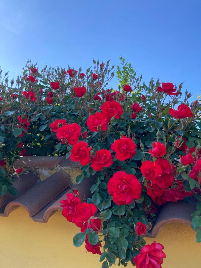 La Rosa Del Lago 布拉恰诺 外观 照片
