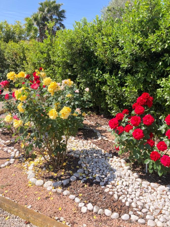 La Rosa Del Lago 布拉恰诺 外观 照片