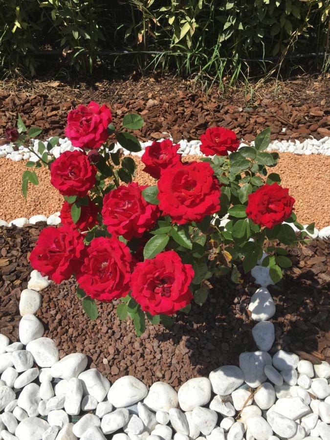 La Rosa Del Lago 布拉恰诺 外观 照片